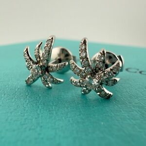 Vintage Tiffany & Co. Diamond Fireworks Earrings in Platinum